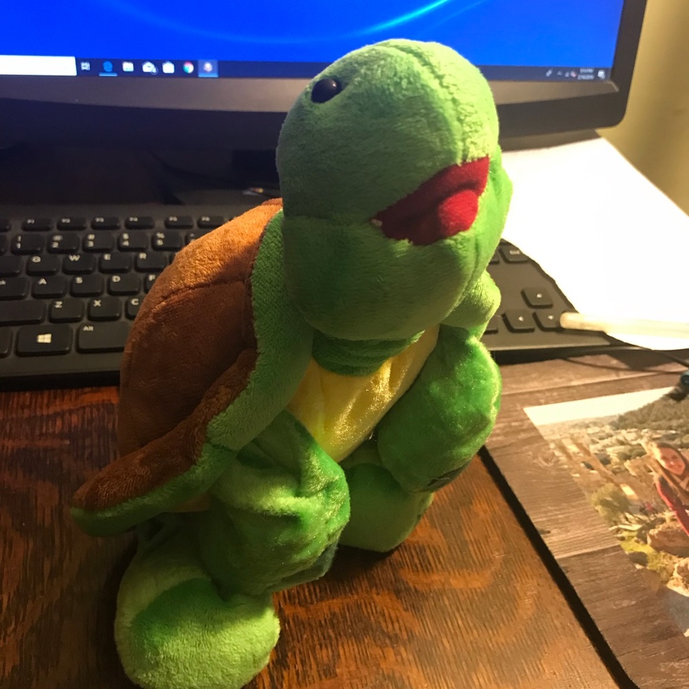 Webkinz turtle